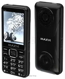 MAXVI P110