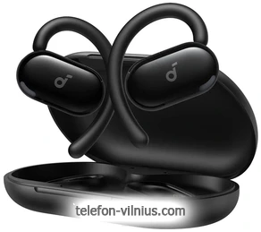 Anker Soundcore V20i