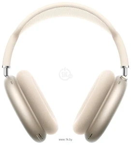 Apple AirPods Max (  USB Type-C,  )