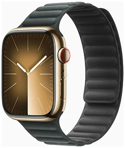 Apple Watch Series 9 45  ( ,  )