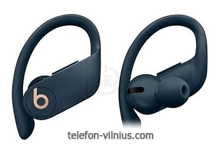 Beats Powerbeats Pro
