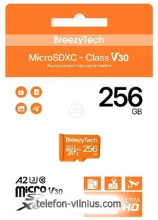 BreezyTech Ultra microSDXC Class 10/A2/V30 256GB ( )
