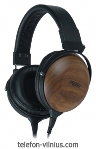 Fostex TH 610