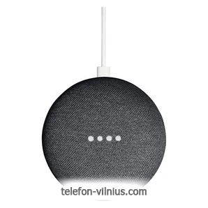 Google Home Mini
