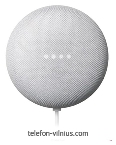 Google Nest Mini