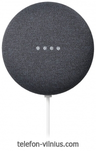 Google Nest Mini 2nd Gen ()