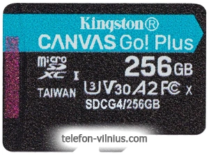 Kingston Canvas Go! microSDXC 256GB SDCG4/256GBSP