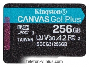 Kingston SDCG3/256GBSP