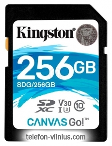 Kingston SDG/256GB