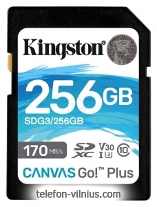 Kingston SDG3/256GB