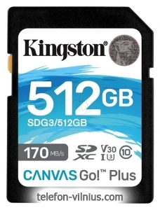 Kingston SDG3/512GB