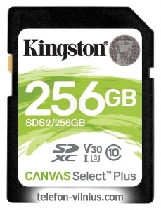 Kingston SDS2/256GB