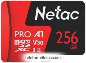 Netac MicroSDXC 256GB V30/A1/C10 Netac P500 Extreme Pro  