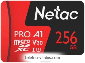 Netac NT02P500PRO-256G-S