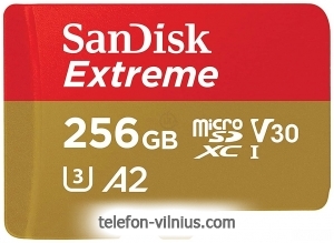 SanDisk Extreme microSDXC SDSQXAV-256G-GN6MN 256GB