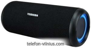 Toshiba TY-WSP201