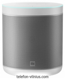 Xiaomi Mi Smart Speaker ( )