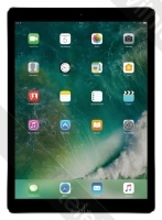 Apple iPad Pro 12.9 (2017) 256Gb Wi-Fi + Cellular