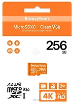 BreezyTech Ultra microSDXC Class 10/A2/V30 256GB ( )
