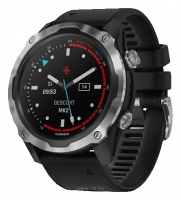 Garmin Descent Mk2 stainless steel with silicone band