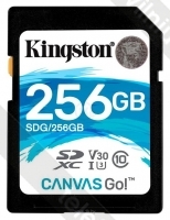 Kingston SDG/256GB