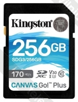 Kingston SDG3/256GB