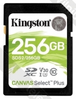 Kingston SDS2/256GB