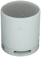 Sony SRS-XB100