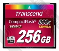 Transcend TS256GCF800