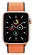 Apple Watch SE GPS + Cellular 44mm Aluminum Case with Sport Loop