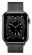 Apple Watch Series 6 GPS + Cellular 40mm Stainless Steel Case with Milanese Loop