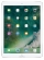 Apple iPad Pro 12.9 (2017) 256Gb Wi-Fi + Cellular