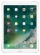 Apple iPad Pro 12.9 (2017) 256Gb Wi-Fi + Cellular