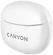 Canyon CNS-TWS5W