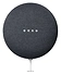 Google Nest Mini