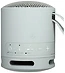 Sony SRS-XB100