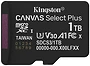 Kingston Canvas Select Plus microSDXC 1TB SDCS3/1TBSP
