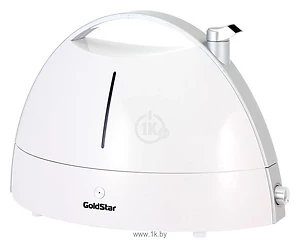 GoldStar HDF-3001