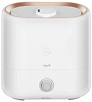 Xiaomi Deerma DEM-ST635W