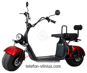 AVM.Plus CITYCOCO Pro ()