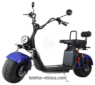 AVM.Plus CITYCOCO Pro ()