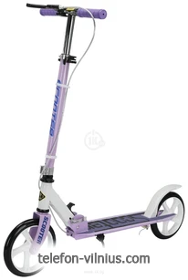 Ricos Shine JSCM6698 ()