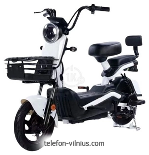 SHTENLI Model 21 Performance