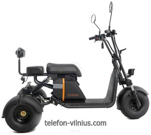Smart Balance Mini Trike Sport 2024