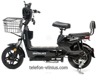 Smart Balance Minicooper 13 ()