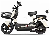 SHTENLI Model 21 Performance Pro