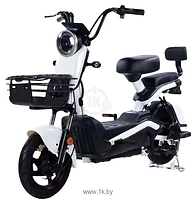 SHTENLI Model 21 Performance